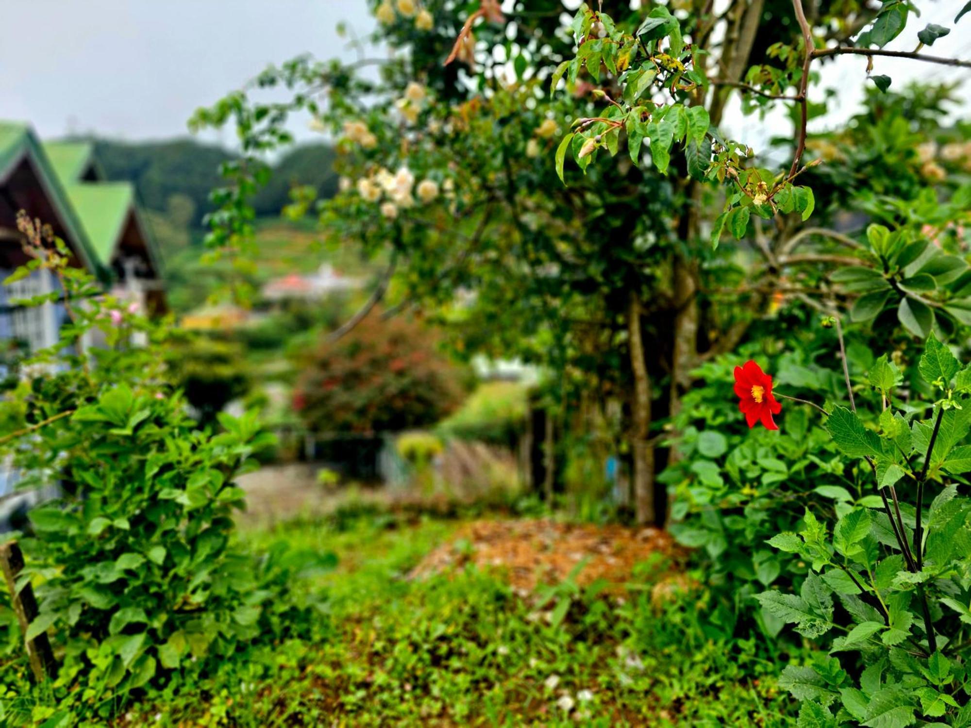 Hostel Haven Backpackers Nuwara Eliya Exterior foto